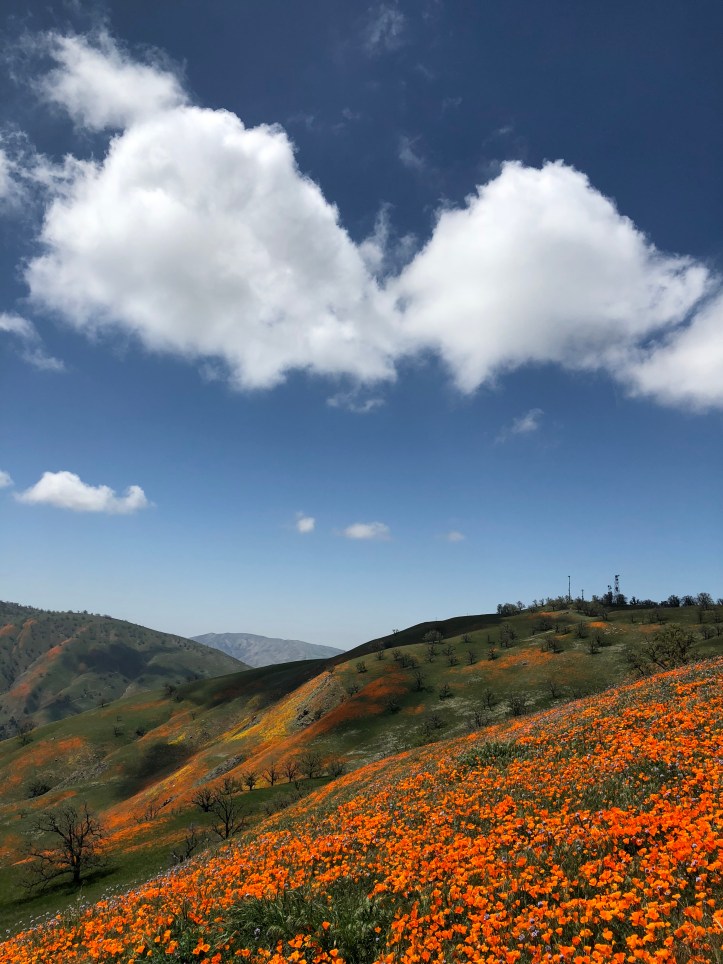 No more drought. . .