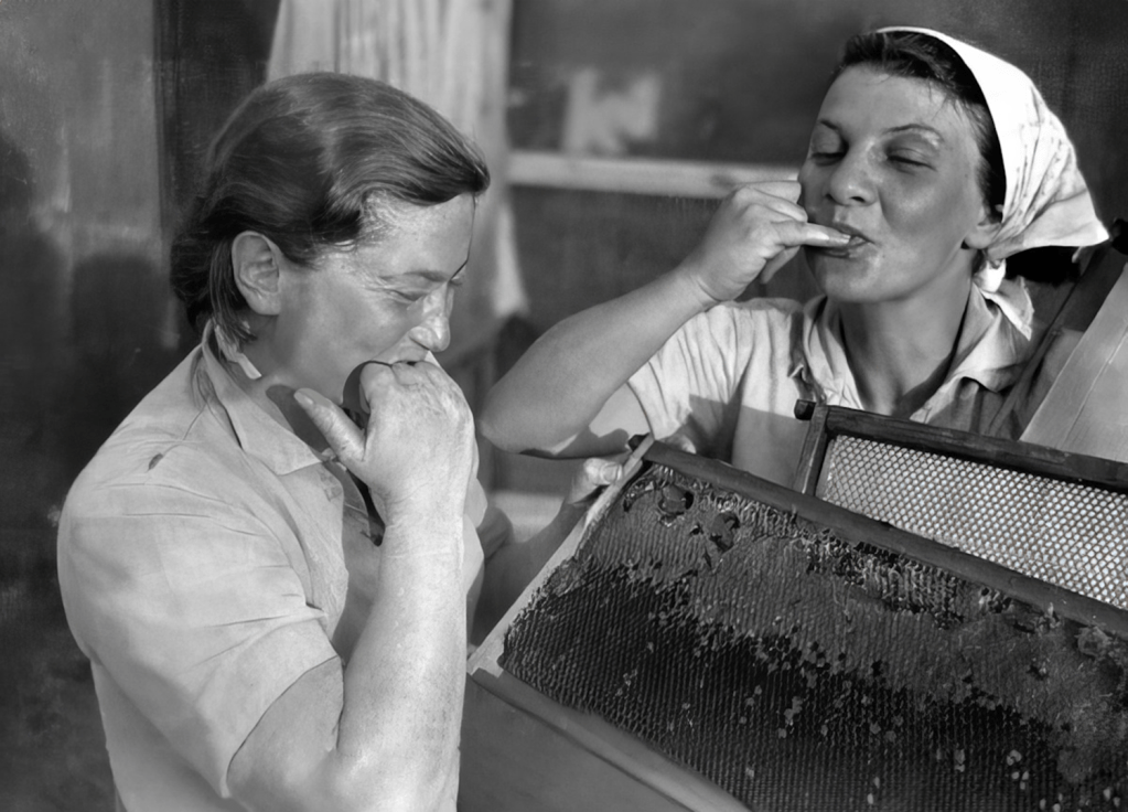 Women from Kibbutz Ein Hahoresh taste honey circa 1945.  public domain.